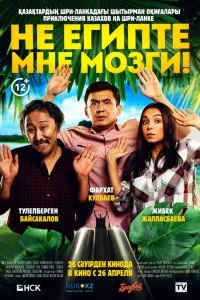  Не египте мне мозги!  смотреть на лорде онлайн бесплатно